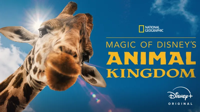 National Geographic Magic of Disneys Animal Kingdom